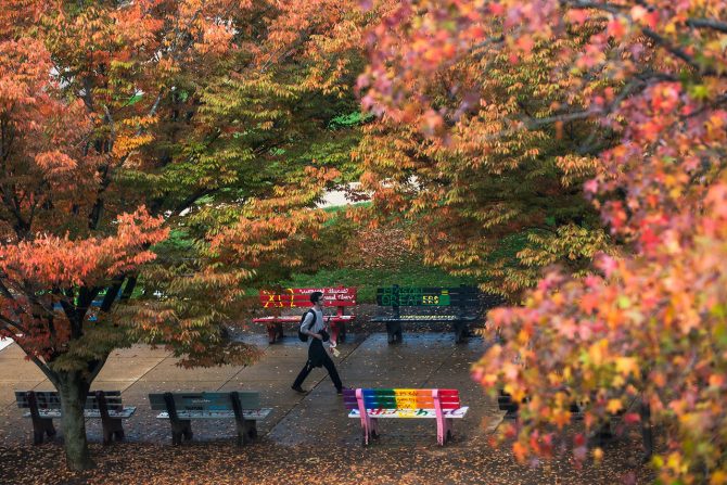Students walking in front of the student benches in the Fall. Photo by Evan Cantwell/George Mason University